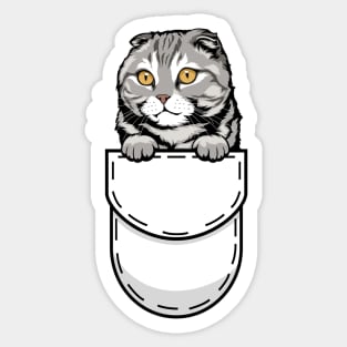 Funny Scottish Fold Pocket Cat Sticker